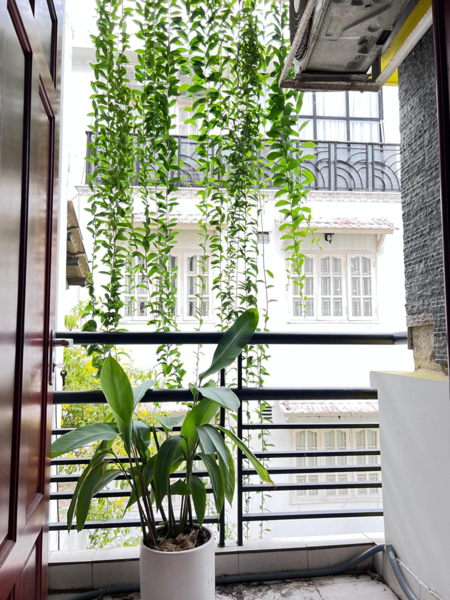 הו צ'י מין סיטי Co Homestay Saigon מראה חיצוני תמונה